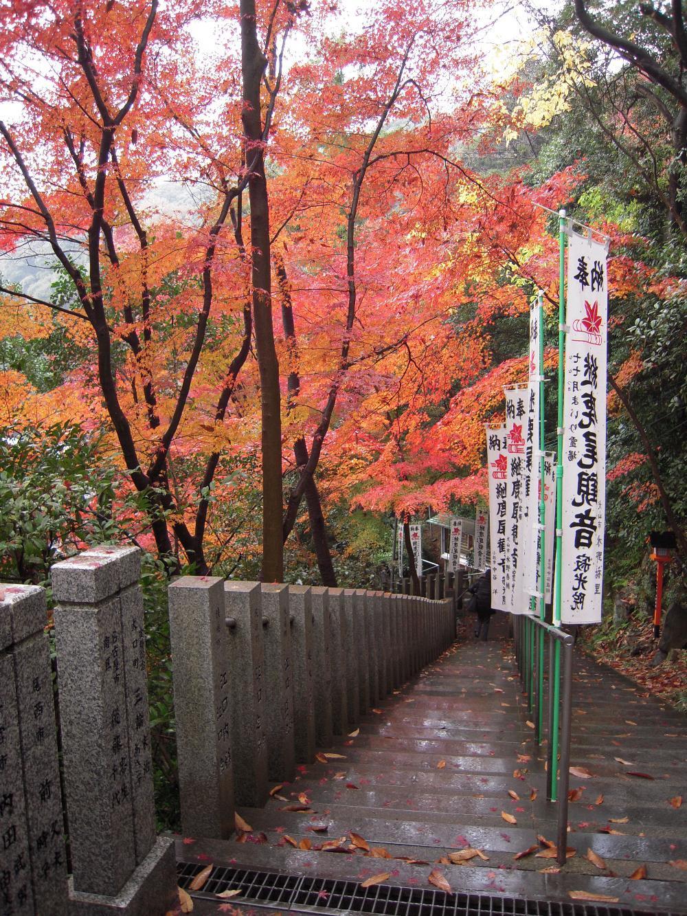 a!Heart supercar 024.jpg